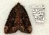  ( - 810-300604-TX)  @13 [ ] Copyright (2008) Unspecified Research Collection of Robert J. Borth