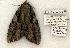  ( - 811-160702-MS)  @14 [ ] Copyright (2008) Unspecified Research Collection of Robert J. Borth