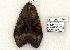  ( - 814-190505-FL)  @12 [ ] Copyright (2008) Unspecified Research Collection of Robert J. Borth