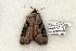  ( - 815-160505-FL)  @14 [ ] Copyright (2008) Unspecified Research Collection of Robert J. Borth