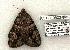  ( - 831-010603-TX)  @13 [ ] Copyright (2008) Unspecified Research Collection of Robert J. Borth