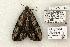  ( - 835-270504-TX)  @13 [ ] Copyright (2008) Unspecified Research Collection of Robert J. Borth