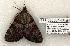  ( - 837-280504-TX)  @13 [ ] Copyright (2008) Unspecified Research Collection of Robert J. Borth