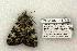  ( - 838-110702-KY)  @13 [ ] Copyright (2008) Unspecified Research Collection of Robert J. Borth