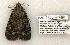  ( - 839-080602-OK)  @13 [ ] Copyright (2008) Unspecified Research Collection of Robert J. Borth