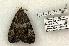  ( - 843-270504-TX)  @13 [ ] Copyright (2008) Unspecified Research Collection of Robert J. Borth
