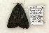 ( - 845-280895-WI)  @13 [ ] Copyright (2008) Unspecified Research Collection of Robert J. Borth