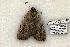  ( - 816-220505-FL)  @13 [ ] Copyright (2008) Unspecified Research Collection of Robert J. Borth