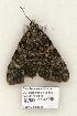  ( - 850-COI-06)  @13 [ ] Copyright (2008) Unspecified Research Collection of Robert J. Borth