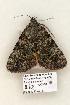  ( - 852-COI-06)  @13 [ ] Copyright (2008) Unspecified Research Collection of Robert J. Borth