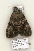  ( - 859-COI-06)  @13 [ ] Copyright (2008) Unspecified Research Collection of Robert J. Borth