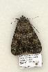  ( - 864-COI-06)  @13 [ ] Copyright (2008) Unspecified Research Collection of Robert J. Borth