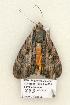  ( - 893-COI-06)  @13 [ ] Copyright (2008) Unspecified Research Collection of Robert J. Borth