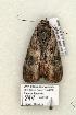  ( - 894-COI-06)  @13 [ ] Copyright (2008) Unspecified Research Collection of Robert J. Borth