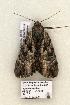  ( - 895-COI-06)  @13 [ ] Copyright (2008) Unspecified Research Collection of Robert J. Borth