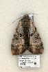  ( - 898-COI-06)  @13 [ ] Copyright (2008) Unspecified Research Collection of Robert J. Borth