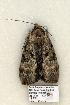  ( - 900-COI-06)  @13 [ ] Copyright (2008) Unspecified Research Collection of Robert J. Borth