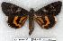 ( - 904-280705-RU)  @14 [ ] Copyright (2008) Unspecified Research Collection of Robert J. Borth