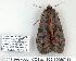  ( - 909-190507-FL)  @12 [ ] Copyright (2008) Unspecified Research Collection of Robert J. Borth