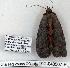  ( - 912-040507-FL)  @12 [ ] Copyright (2008) Unspecified Research Collection of Robert J. Borth