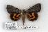  ( - 913-290707-WI)  @13 [ ] Copyright (2008) Unspecified Research Collection of Robert J. Borth