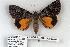  ( - 915-100807-WI)  @13 [ ] Copyright (2008) Unspecified Research Collection of Robert J. Borth