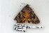  ( - 923-120603-TX)  @13 [ ] Copyright (2008) Unspecified Research Collection of Robert J. Borth