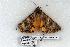  ( - 924-110603-TX)  @13 [ ] Copyright (2008) Unspecified Research Collection of Robert J. Borth