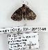  ( - 931-120707-MI)  @12 [ ] Copyright (2008) Unspecified Research Collection of Robert J. Borth