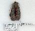  ( - 936-020507-FL)  @12 [ ] Copyright (2008) Unspecified Research Collection of Robert J. Borth