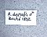 ( - NHMW-HYM 596)  @12 [ ] Unspecified (default): All Rights Reserved (2017) Unspecified Natural History Museum Vienna