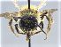 ( - NHMW-HYM 613)  @12 [ ] Unspecified (default): All Rights Reserved (2017) Unspecified Natural History Museum Vienna