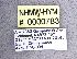  ( - NHMW-HYM 783)  @11 [ ] Unspecified (default): All Rights Reserved (2017) Unspecified Natural History Museum Vienna