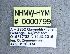  ( - NHMW-HYM 799)  @11 [ ] Unspecified (default): All Rights Reserved (2017) Unspecified Natural History Museum Vienna