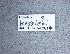  ( - NHMW-HYM 799)  @11 [ ] Unspecified (default): All Rights Reserved (2017) Unspecified Natural History Museum Vienna