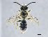  ( - NHMW-HYM 1992)  @13 [ ] Unspecified (default): All Rights Reserved (2017) Unspecified Natural History Museum Vienna