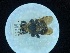  ( - ABG-464)  @11 [ ] Copyright (2021) Unspecified Government of Canada