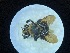  ( - ABG-497)  @11 [ ] Copyright (2021) Unspecified Government of Canada