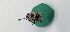  ( - ABG-5422)  @11 [ ] ©  Unspecified Agriculture and Agri-Food Canada