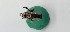  ( - ABG-8731)  @11 [ ] ©  Unspecified Agriculture and Agri-Food Canada