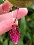  (Restrepia elegans - CL2)  @11 [ ] Copyright (2016) Kylie Bucalo Atlanta Botanical Garden