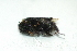  ( - Bc09)  @12 [ ] Unspecified (default): All Rights Reserved  Unspecified Unspecified