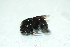  ( - Ba06)  @12 [ ] Unspecified (default): All Rights Reserved  Unspecified Unspecified