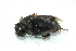 ( - Bc07)  @12 [ ] Unspecified (default): All Rights Reserved  Unspecified Unspecified