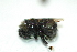  ( - Bc08)  @12 [ ] Unspecified (default): All Rights Reserved  Unspecified Unspecified