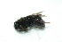  ( - Bf03)  @12 [ ] Unspecified (default): All Rights Reserved  Unspecified Unspecified