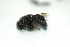  ( - Hf01)  @12 [ ] Unspecified (default): All Rights Reserved  Unspecified Unspecified