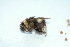  ( - Ff01)  @12 [ ] Unspecified (default): All Rights Reserved  Unspecified Unspecified