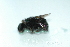  ( - Dg04)  @12 [ ] Unspecified (default): All Rights Reserved  Unspecified Unspecified