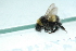  ( - BobStrg1)  @12 [ ] Unspecified (default): All Rights Reserved  Unspecified Unspecified